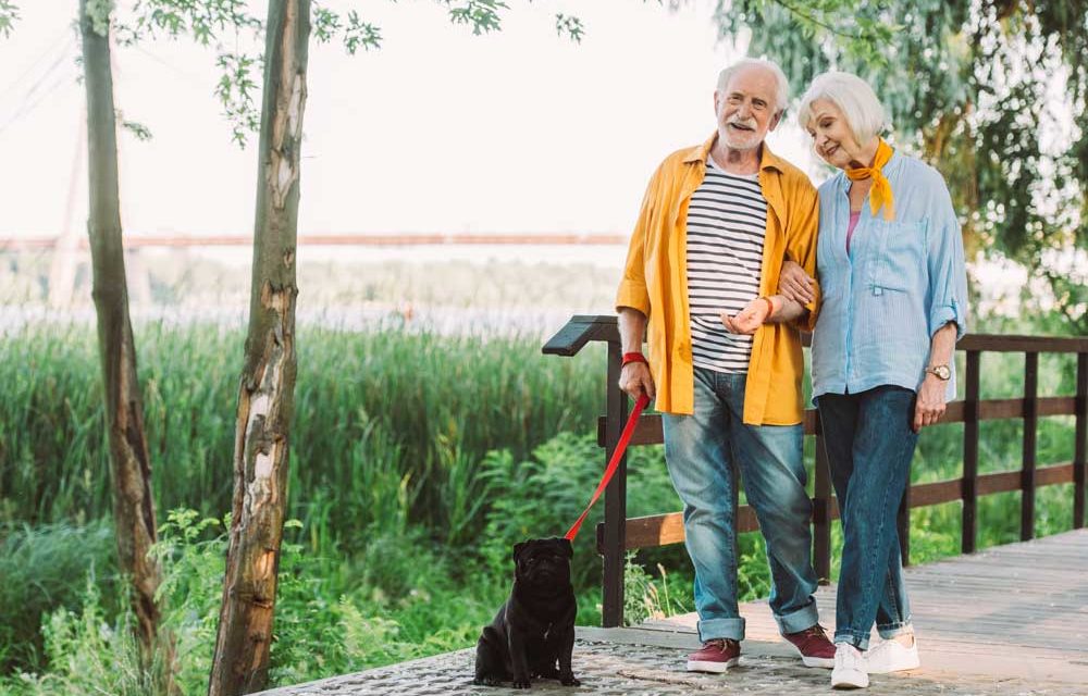 A Financial Wellness Plan Can Help Pave the Road to Retirement